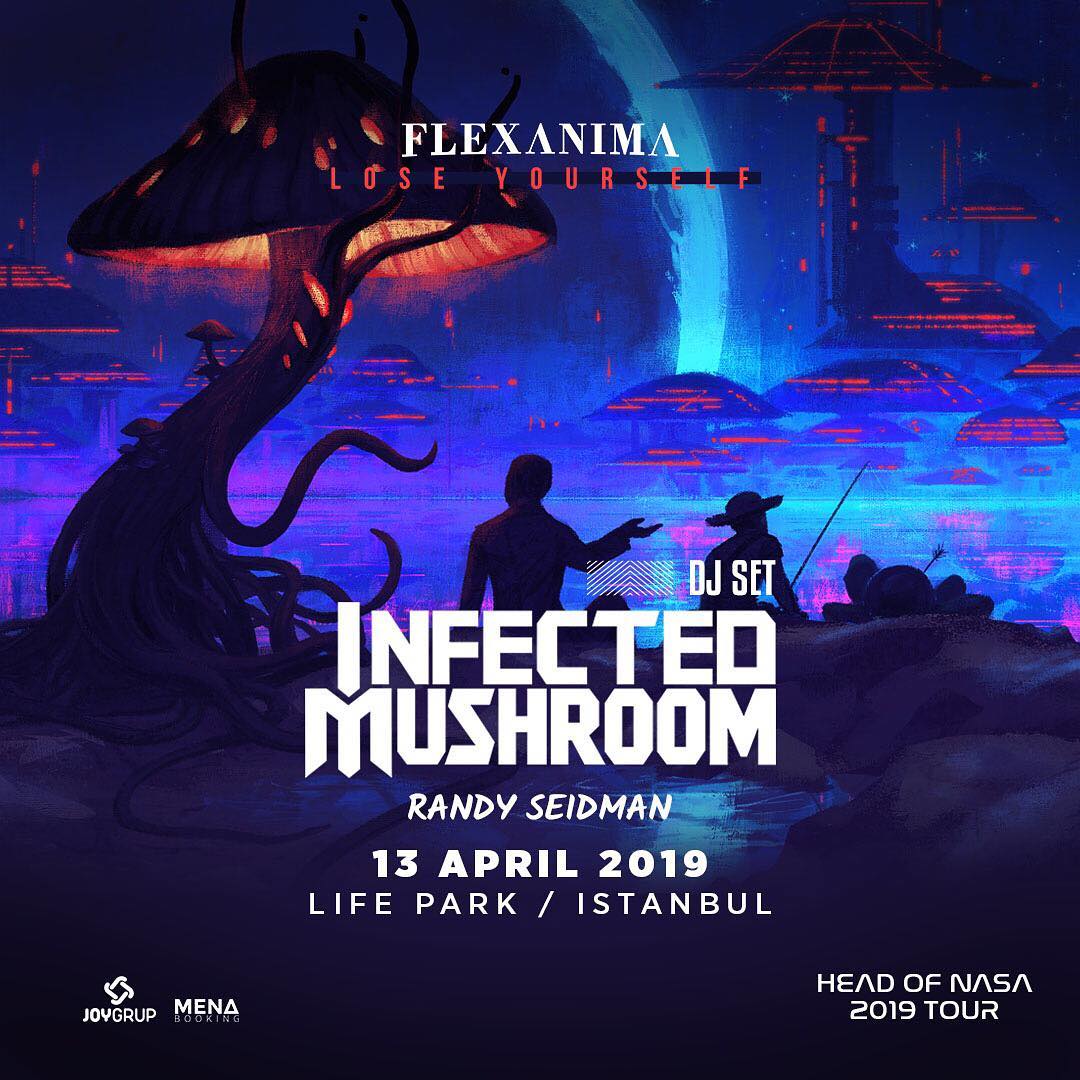 Infected Mushroom / Life Park