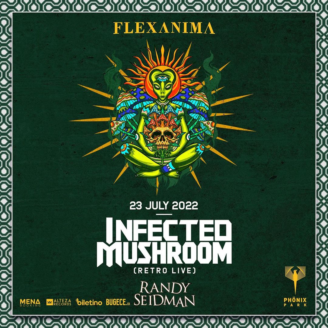  Infected Mushroom